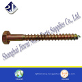 China Good Quality Hex Lag Wood Screw